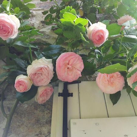 B&B Maison Coralie Sainte-Christine  エクステリア 写真