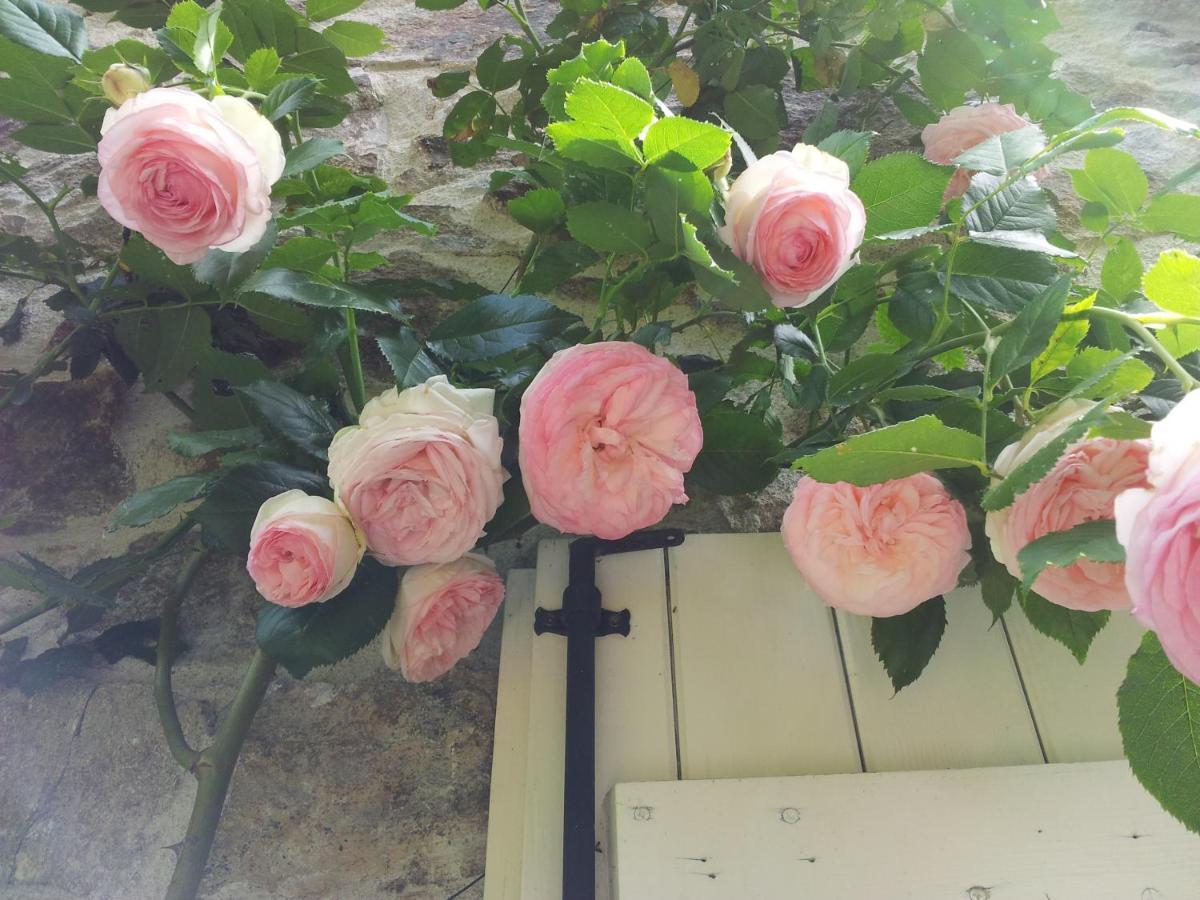 B&B Maison Coralie Sainte-Christine  エクステリア 写真